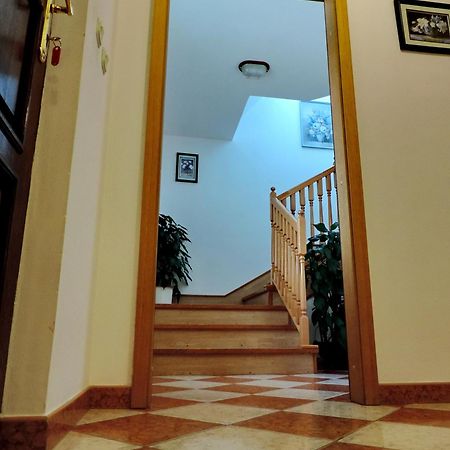 Apartment Peric Zadar Eksteriør bilde
